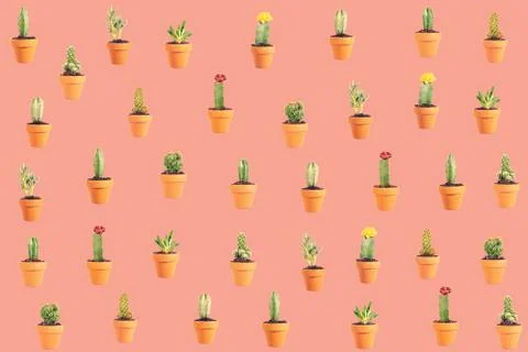 Coral colored cactus pattern, wallpaper and background for cards and decorati Illustrazione stock