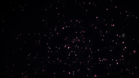 Coral eggs || Coral Spawning Stock Footage 149965496