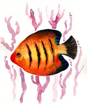 Coral fish Illustrazione stock