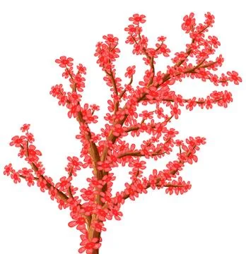 Coral flowering tree. Stock Illustration