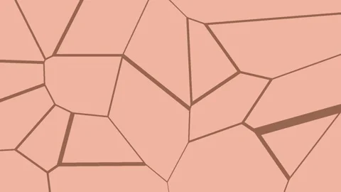 Coral Foam Texture 库存影片 338083005