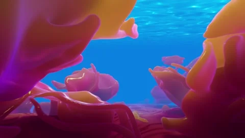 Coral Stock Footage 253791759