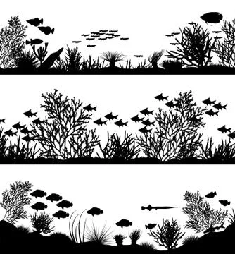 Coral foregrounds Stock Illustration