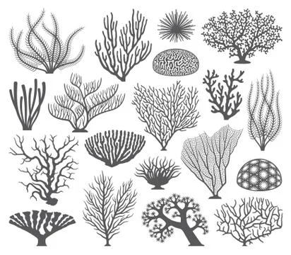 Coral formations Vector Silhouettes Stock Illustration