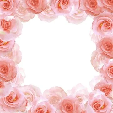 Coral frame Stock Photos