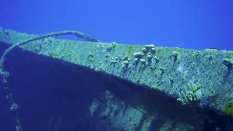 Coral growing on side of sunken shipwreck under the sea Stock Footage 241086603