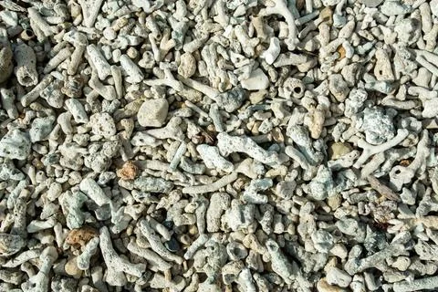 Coral natural texture natural texture with many small corals broken into p... Stockfoto's