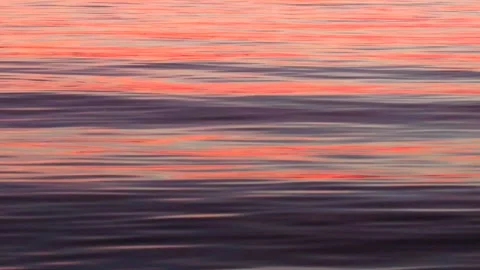 Coral Orange Reflection On  Violet Small Smooth Waves Stock Footage 130280433