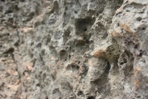 Coral pattern in the beach Stock Photos