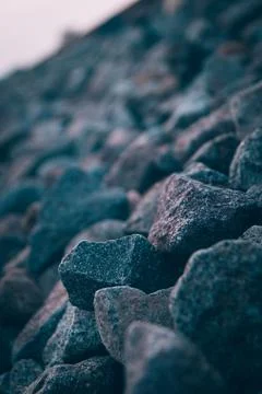 Coral Stock Photos