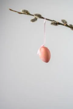 Coral pink easter egg hanging from a willow twig with catkins Stock Photos