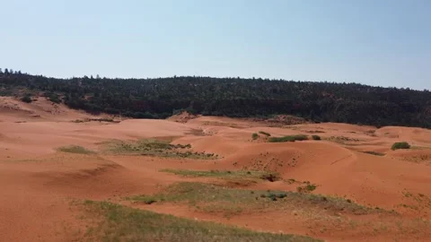 Coral Pink Sand Dune State Park of Utah Stock Footage 172379558