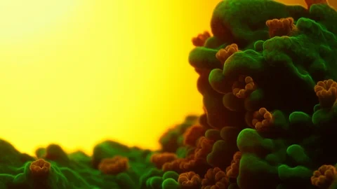 Coral Polyp Macro Timelapse HD Stock Footage 102687172