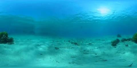 Coral Reef in 360 vr Stock Footage 78882997