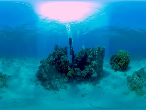 Coral Reef in 360v 스톡 동영상 78887698
