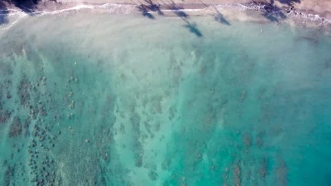 Coral Reef Aerial View Stock Footage 305124337