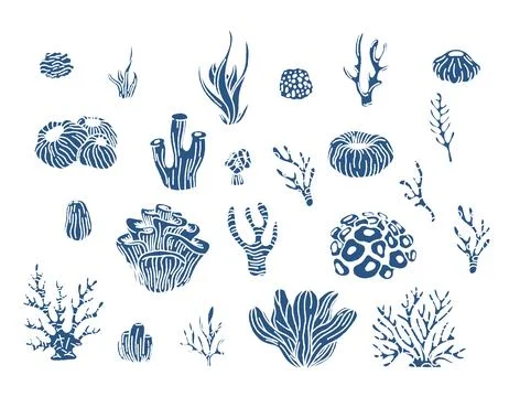 Coral reef and algae underwater plants vector. Aquarium, ocean and underwat.. Stock Illustration