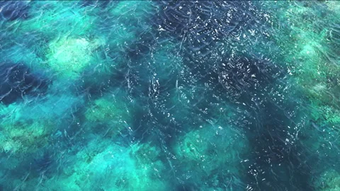 Coral Reef Background, Camera Flies Over the Ocean Stock Footage 265441053