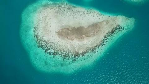 Coral reef in Belize Stock Footage 152452212