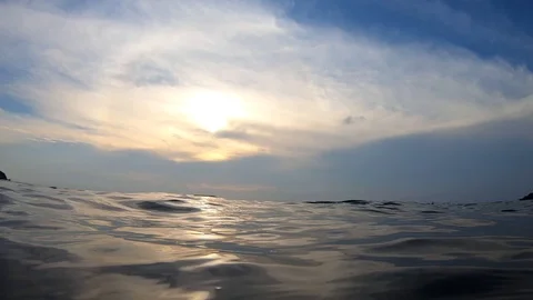 Coral Reef Bottom Stock Footage 105573313