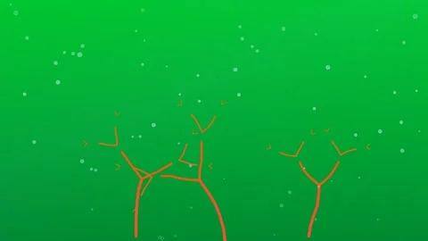 Coral Reef Branches Growing Underwater on Green Screen Stock Footage 342000356