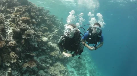 Coral reef with divers Stock Footage 10788209