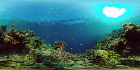 Coral reef with fish underwater. Philippines. Virtual Reality 360 Stockbeeldmateriaal 153208317