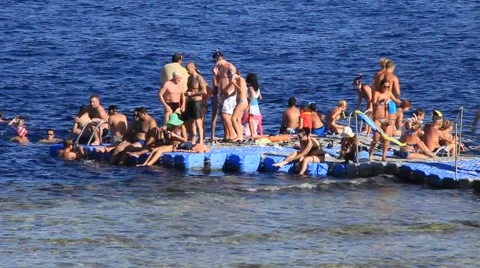 Coral reef Stock Footage 892820