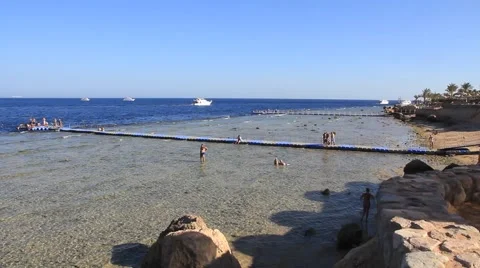 Coral reef Video stock 893419