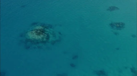 Coral Reef Stock Footage 39887805