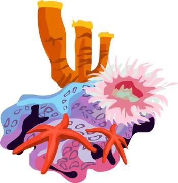 Coral Reef Stock Illustration