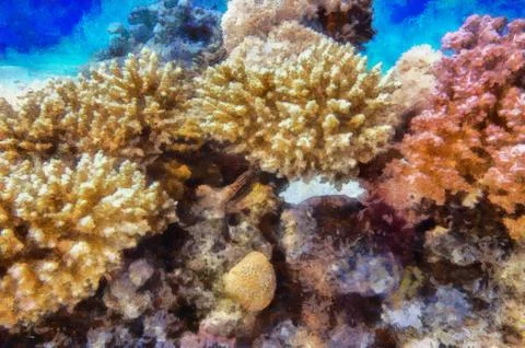 Coral reef Stock Illustration