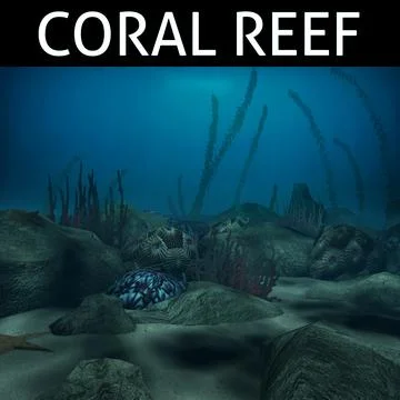 Coral reef low poly 3D Model