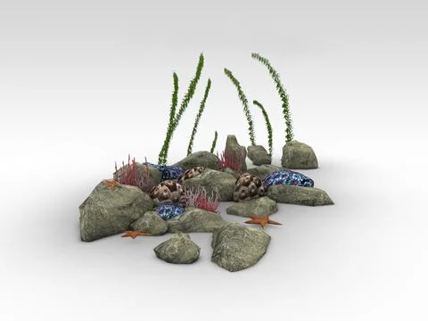 3D Model: Coral reef low poly ~ Buy Now #96431579 | Pond5