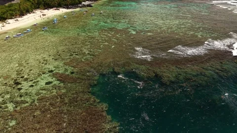 Coral Reef Patterns Beneath Fronton Beach Waters-08 Stock-Footage 337437902