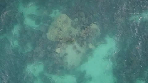 Coral Reef Patterns at Coral Bay, Aerial Drone View Stockbeeldmateriaal 337471555