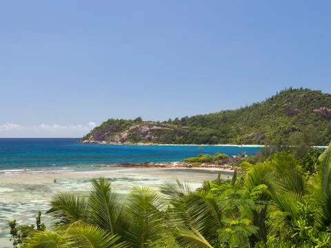 Coral reef Stock Photos