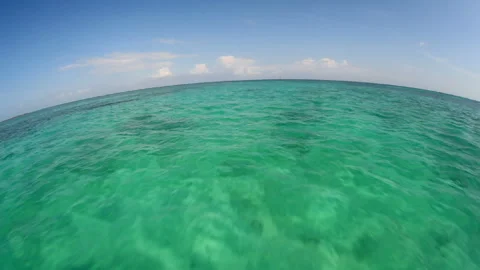 Coral Reef Sea Video stock 331998400