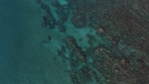 CORAL REEF FROM THE SKY Stock Footage 100890790