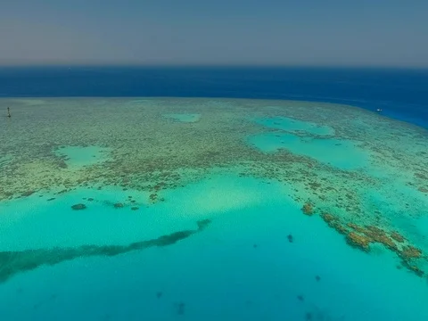 Coral reef system 動画素材 77651082