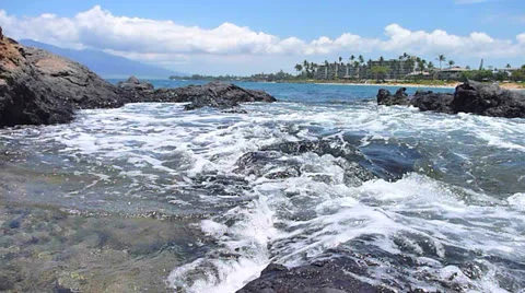 Coral Reef Tide Pool Time Lapse Stock Footage 24103453