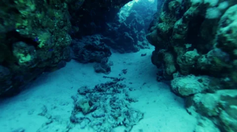 Coral Reef trip Stock Footage 36755668