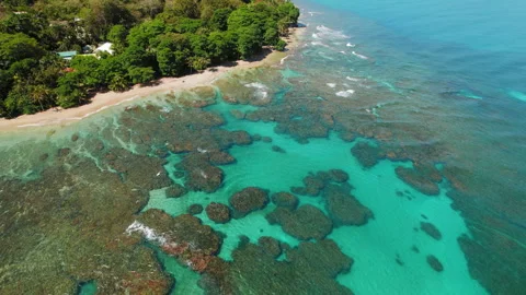 Coral reef visible under clear turquoise water along a quiet tropical beach in Stock Footage 344775901