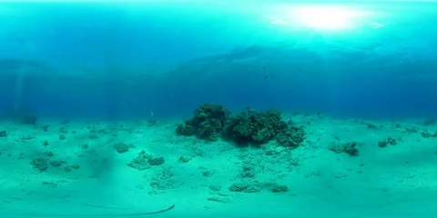 Coral Reef in vr 360  Vídeos de archivo 78882992