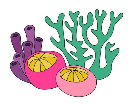 Coral reef on white background Stock Illustration