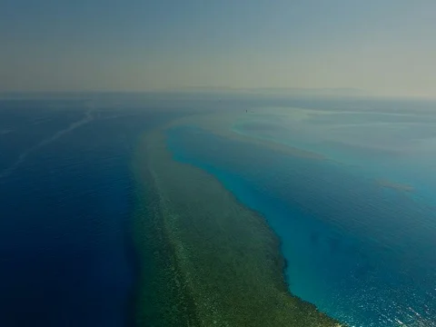 Coral reefreef 動画素材 77647442
