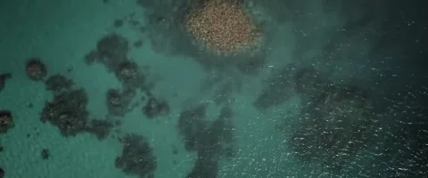 Coral Reefs Stock Footage 154799735