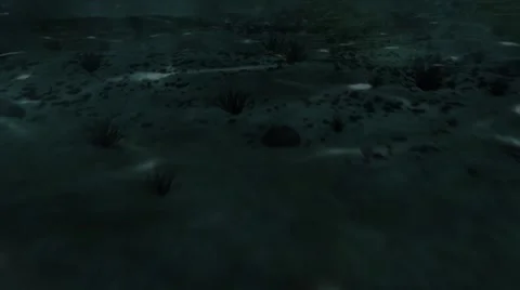 Coral reefs on seabed 库存影片 67555248