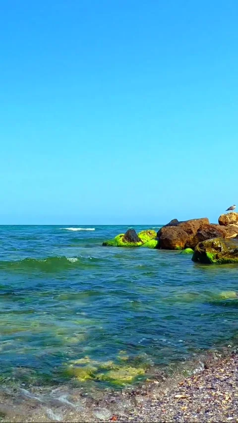 Coral Rock Stock-Footage 211787329