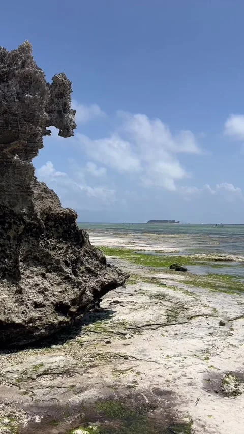 Coral rock formation low tide Mnemba Island view Matemwe Zanzibar HD vertical Stock-Footage 342148193